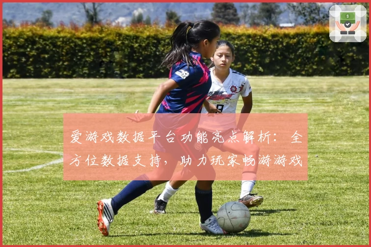 爱游戏数据平台功能亮点解析：全方位数据支持，助力玩家畅游游戏世界